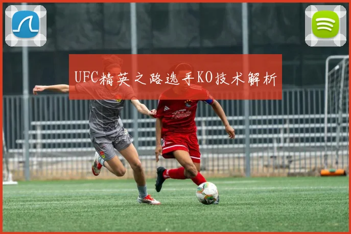 UFC精英之路选手KO技术解析