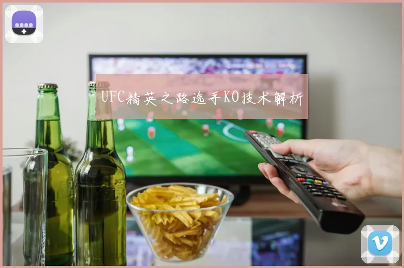 UFC精英之路选手KO技术解析