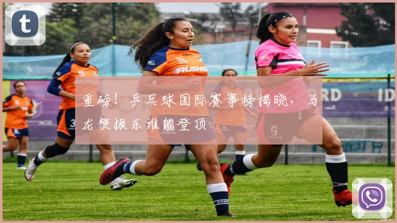 重磅！乒乓球国际赛事榜揭晓，马龙樊振东谁能登顶