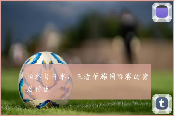 泪水与汗水，王者荣耀国际赛的背后付出