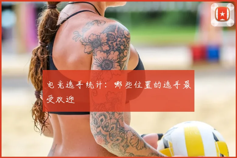 电竞选手统计：哪些位置的选手最受欢迎