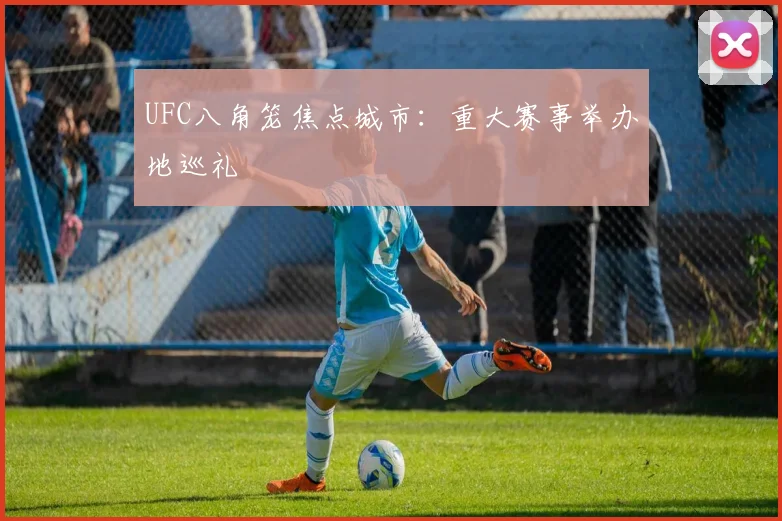 UFC八角笼焦点城市:重大赛事举办地巡礼