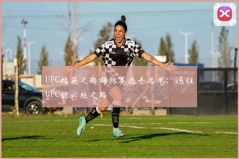 UFC精英之路锦标赛选手名单:通往UFC的必经之路
