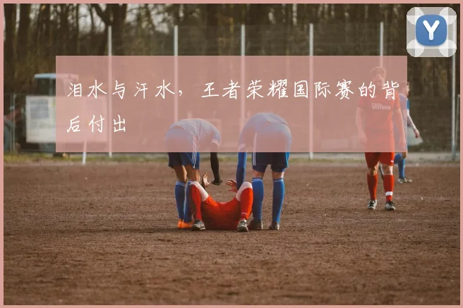 泪水与汗水,王者荣耀国际赛的背后付出